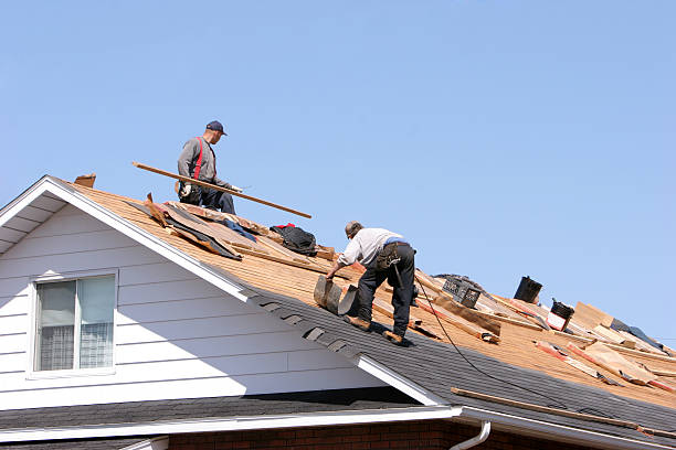 Best Roof Insulation Installation  in Lemon Grove, CA